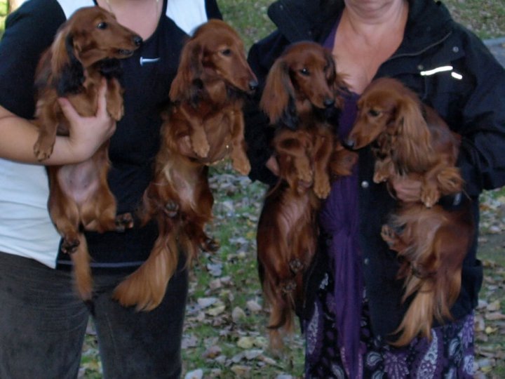 Pepi, Nadine, Medule a Jess