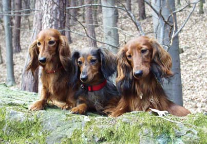 Doris, Colorka, Esprit