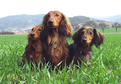 Doris, Esprit, Colorka