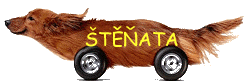�t��ata