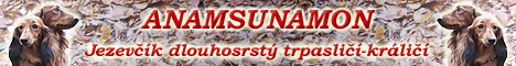 Anamsunamon