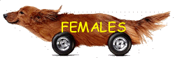 FEMALES