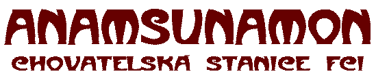Anamsunamon