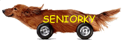 Seniorky
