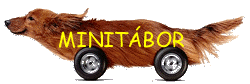 Minit�bor