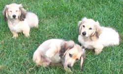 kr�mov� �t��ata