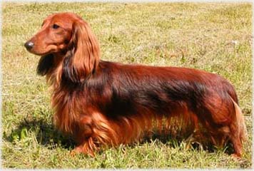 �erven� - trpasli�� Extraordinary Esprit Kalokagathia Fai