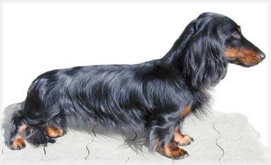 �ern� s p�len�m